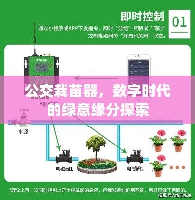 公交栽苗器，数字时代的绿意缘分探索