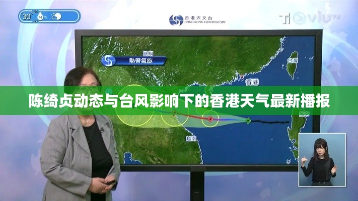 陈绮贞动态与台风影响下的香港天气最新播报