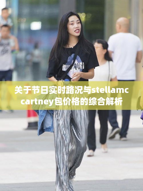 关于节日实时路况与stellamccartney包价格的综合解析