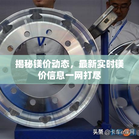 揭秘镁价动态,最新实时镁价信息一网打尽