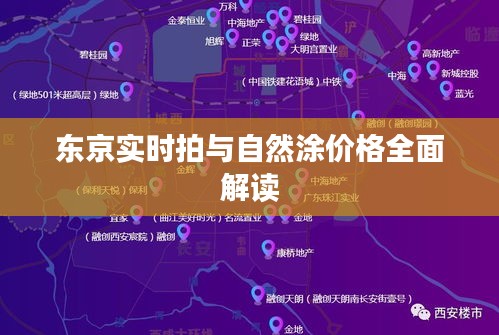 东京实时拍与自然涂价格全面解读