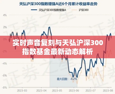 实时声音复刻与天弘沪深300指数基金最新动态解析