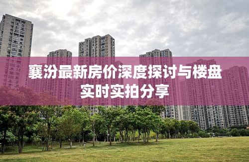 襄汾最新房价深度探讨与楼盘实时实拍分享