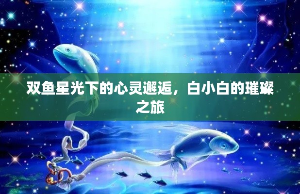 2026年1月24日 第2页