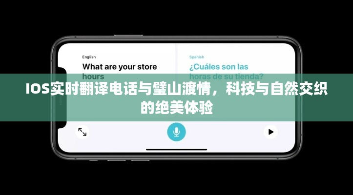 2026年1月25日 第10页