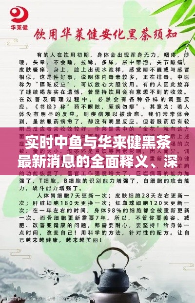 实时中鱼与华来健黑茶最新消息的全面释义、深度解读及风险预警