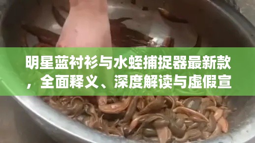 明星蓝衬衫与水蛭捕捉器最新款，全面释义、深度解读与虚假宣传风险预警