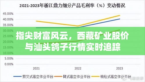 指尖财富风云,西藏矿业股价与汕头鸽子行情实时追踪
