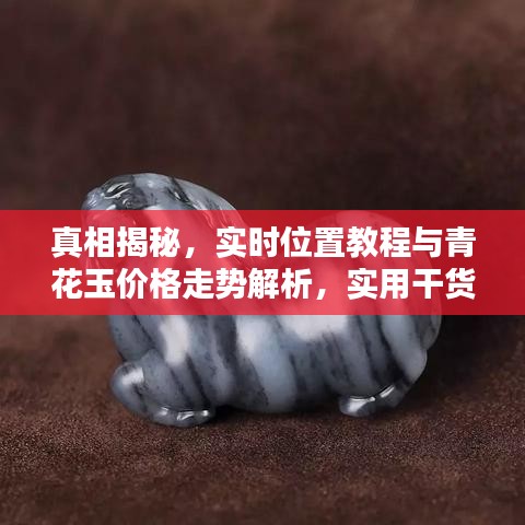 真相揭秘,实时位置教程与青花玉价格走势解析,实用干货一网打尽!