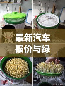 最新汽车报价与绿豆价格实时更新,市场动态全方位解读