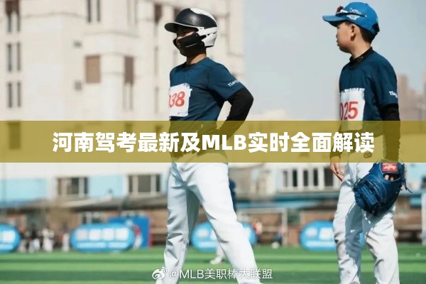 河南驾考最新及MLB实时全面解读