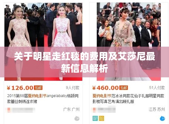 关于明星走红毯的费用及艾莎尼最新信息解析