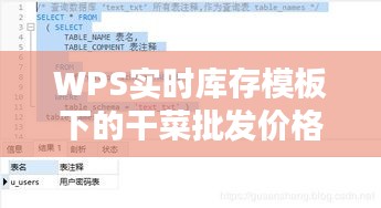 WPS实时库存模板下的干菜批发价格分析与优化策略