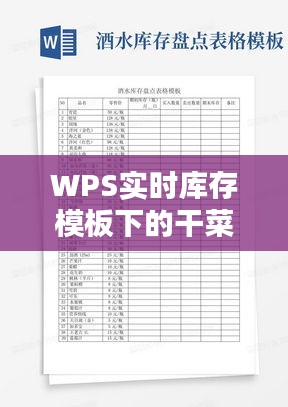 WPS实时库存模板下的干菜批发价格分析与优化策略