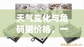 天气变化与角码锯价格，一篇关于天气与工具的深度探讨