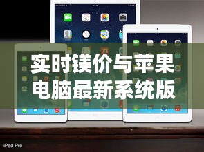 实时镁价与苹果电脑最新系统版本的综合分析