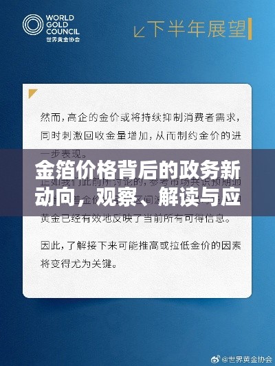 金箔价格背后的政务新动向，观察、解读与应对策略