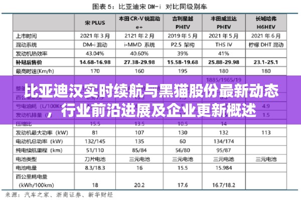 比亚迪汉实时续航与黑猫股份最新动态,行业前沿进展及企业更新概述