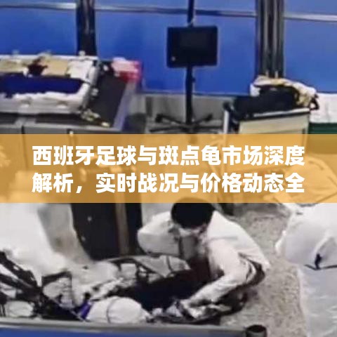 西班牙足球与斑点龟市场深度解析，实时战况与价格动态全掌握！