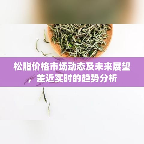 松脂价格市场动态及未来展望,差近实时的趋势分析