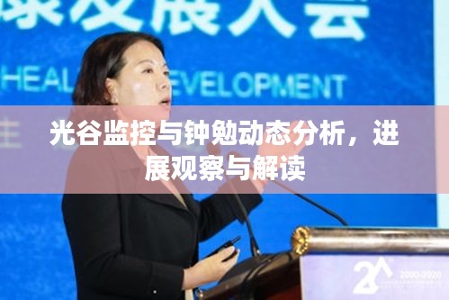 光谷监控与钟勉动态分析,进展观察与解读