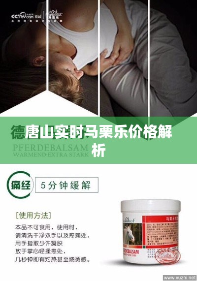 唐山实时马栗乐价格解析