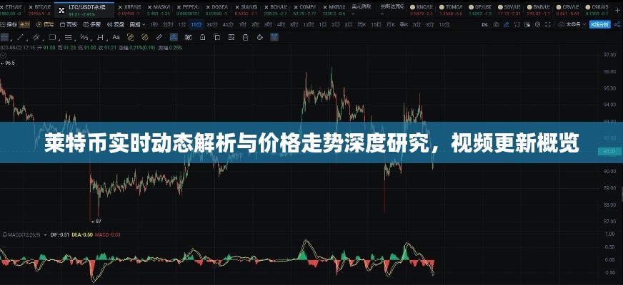 莱特币实时动态解析与价格走势深度研究，视频更新概览