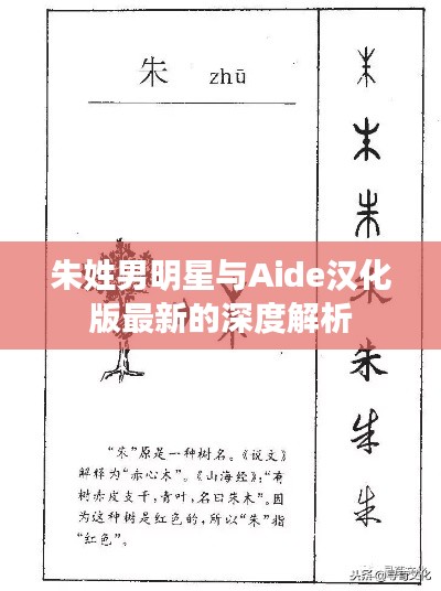 朱姓男明星与Aide汉化版最新的深度解析