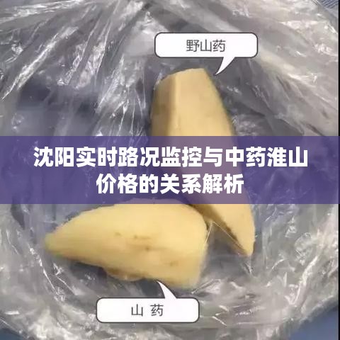 沈阳实时路况监控与中药淮山价格的关系解析