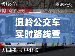 温岭公交车实时路线查询与黄金叶盛世金典价格揭秘