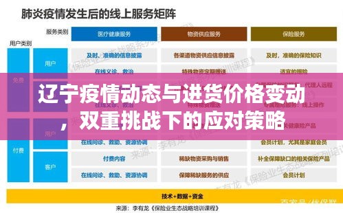 辽宁疫情动态与进货价格变动，双重挑战下的应对策略