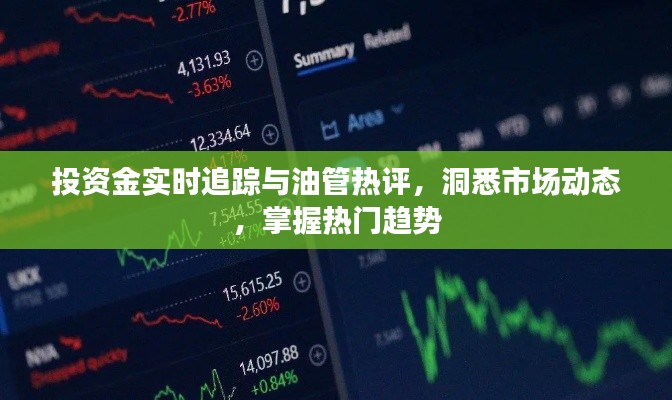 投资金实时追踪与油管热评,洞悉市场动态,掌握热门趋势