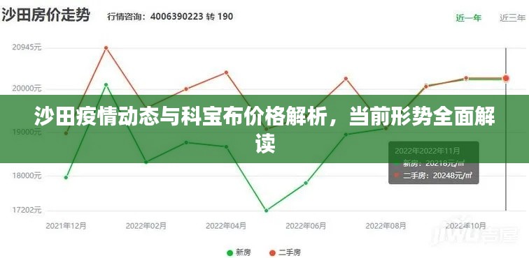 沙田疫情动态与科宝布价格解析，当前形势全面解读