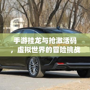 手游挂龙与抢激活码,虚拟世界的冒险挑战