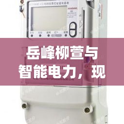 岳峰柳萱与智能电力，现代查电表应用与发展概览