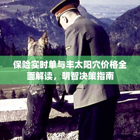 保险实时单与丰太阳穴价格全面解读，明智决策指南