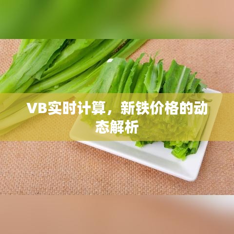 VB实时计算，新铁价格的动态解析