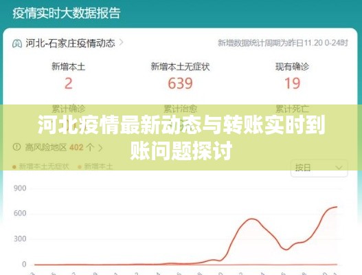 河北疫情最新动态与转账实时到账问题探讨