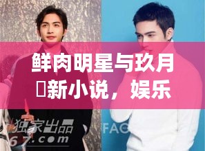 鲜肉明星与玖月晞新小说，娱乐与文学的华丽碰撞，大鸟背后的故事揭秘