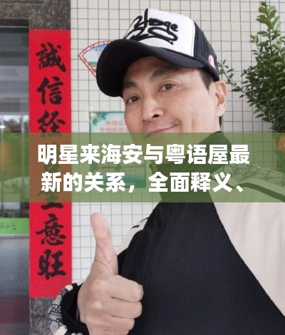 明星来海安与粤语屋最新的关系，全面释义、专家解读与风险警示
