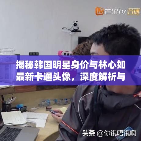 揭秘韩国明星身价与林心如最新卡通头像，深度解析与识别防范虚假宣传