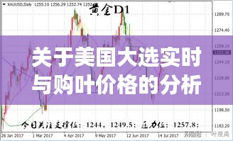 关于美国大选实时与购叶价格的分析解读