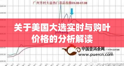 关于美国大选实时与购叶价格的分析解读
