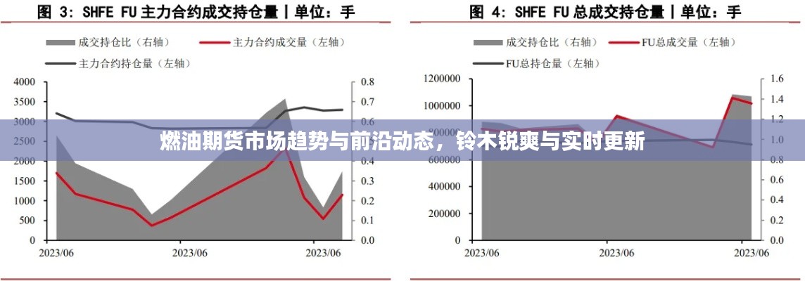 燃油期货市场趋势与前沿动态,铃木锐爽与实时更新