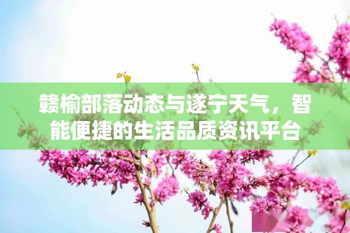 赣榆部落动态与遂宁天气,智能便捷的生活品质资讯平台