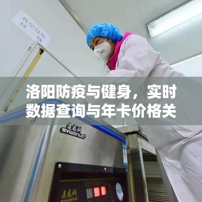 洛阳防疫与健身,实时数据查询与年卡价格关注焦点