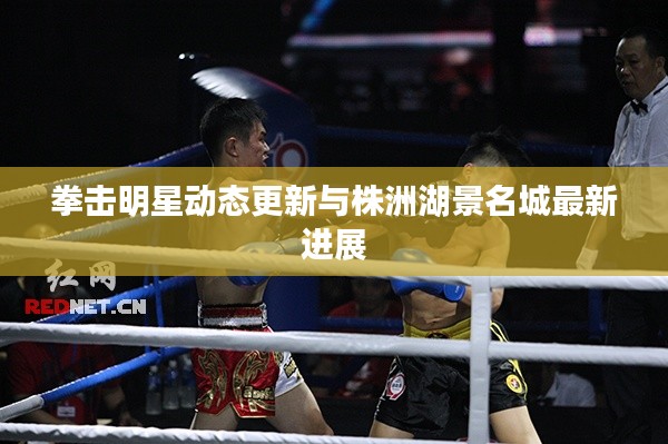拳击明星动态更新与株洲湖景名城最新进展