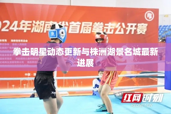 拳击明星动态更新与株洲湖景名城最新进展
