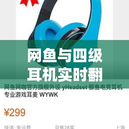网鱼与四级耳机实时翻译,技术与娱乐的巅峰融合