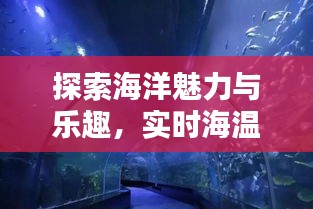 探索海洋魅力与乐趣,实时海温与最新视频一览